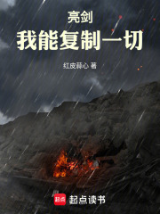 亮剑:我能复制一切