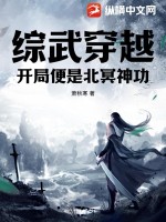 综武穿越:开局便是北冥神功