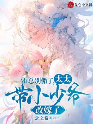 霍总别傲了,太太带小少爷改嫁了