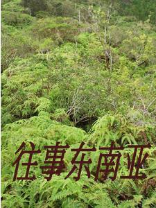 山һȺ