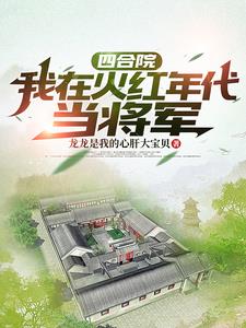 四合院:我在火红年代当将军