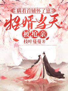 瞒着首辅怀了崽,招婿当天被抢亲