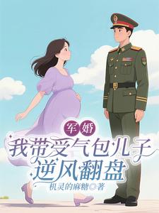 军婚:我带受气包儿子逆风翻盘