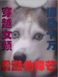 穿越女频,拥兵十万,需避他锋芒