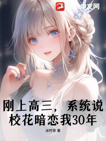 ϸϵͳ˵У30ꣿ