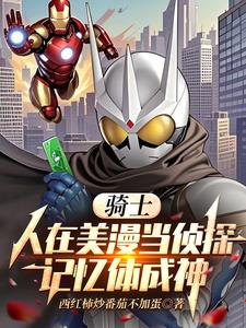 骑士:人在美漫当侦探记忆体成神