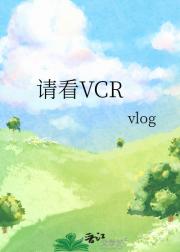 뿴VCR