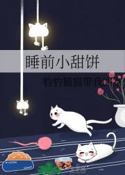˯ǰС