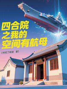 四合院之我的空间有航母