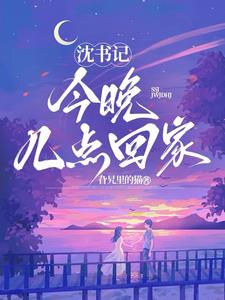 沈书记,今晚几点回家