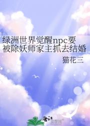 npcҪʦץȥ