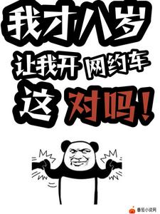 我才八岁,让我开网约车这对吗!