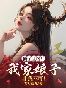 仙子且慢!我家娘子非我不可!