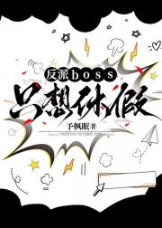 bossֻݼ