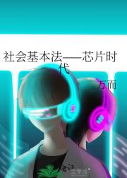 оƬʱ