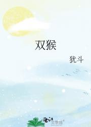 ˫