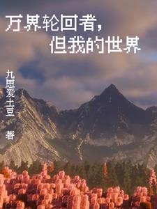 万界轮回者,但我的世界