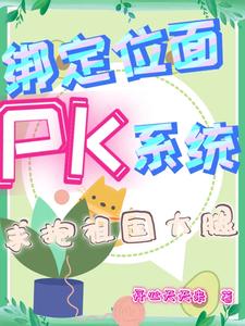 λPKϵͳ