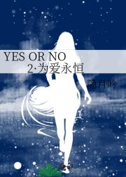 YES OR NO 2Ϊ