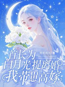 首长为白月光提离婚,我带崽高嫁