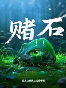 赌石!!