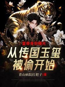 皇帝身份曝光从传国玉玺被偷开始