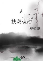 ˫