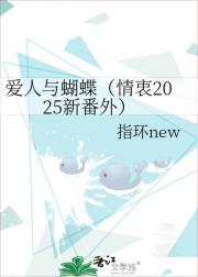 2025·⣩