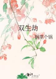 ˫