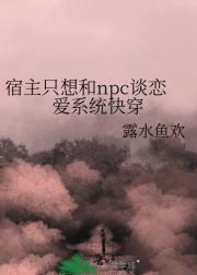 ֻnpc̸ϵͳ촩