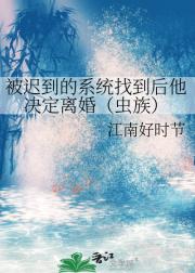ٵϵͳҵ飨壩