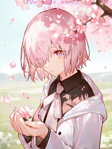 星铁:卡池角色,我成盾辅了?