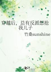 穿越后,总有反派想抢我儿子