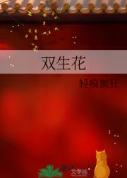 ˫