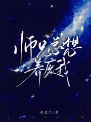 ʦ������������