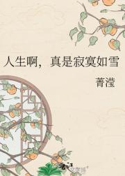 �����������Ǽ�į��ѩ