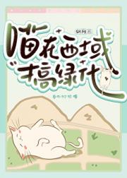 [����]����������̻�