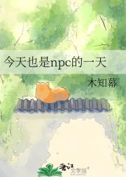 ����Ҳ��npc��һ��