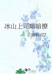 ��ɽ��˾������