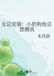 Ů�ܱ�è��С�̹�������ߣ��