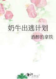 ��ţ���Ӽƻ�