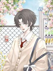 ���Ǽʡ�����ʧ�䣬������������