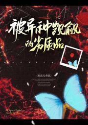 ���������������Ʒ