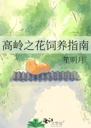 ����֮������ָ��