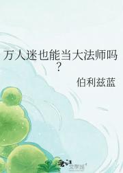 ������Ҳ�ܵ���ʦ��