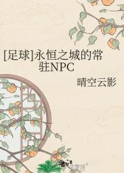 [����]����֮�ǵĳ�פNPC