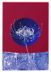 ��ʹ���ٻ�/COD��Ů��Y/N�Ǹ�������