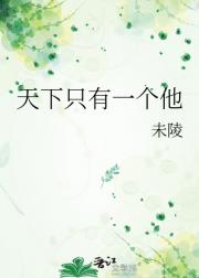 ����ֻ��һ����