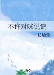 ��������˵��