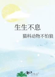 ������Ϣ